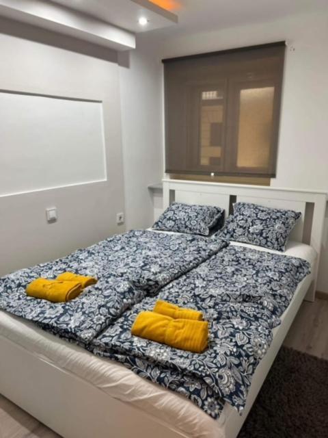 Appartamento Raday Street Heven Budapest Esterno foto
